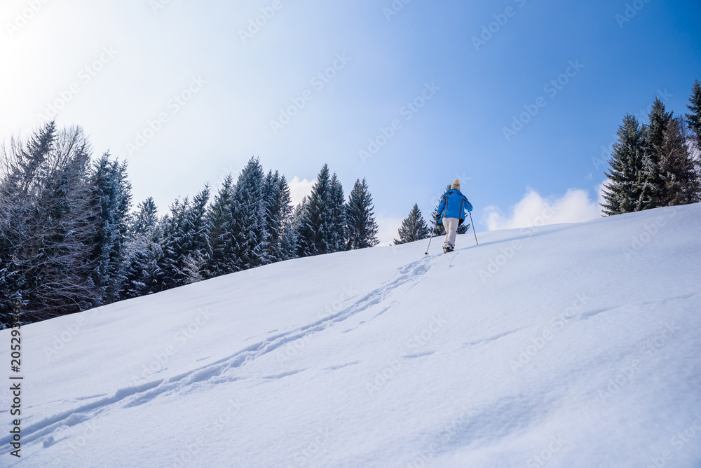 Hiker with snowshoes on snow trail in winter landscape of forest in Oberstdorf, Bavaria Alps in South of Germany. Beautiful landscape with coniferous trees and white snow. Winter sport activity.
