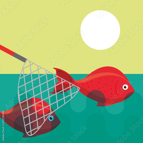 fishing net catching fishes on lake vector illustration