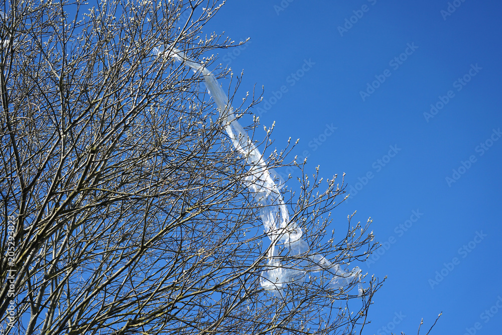 Fototapeta premium Nature and earth pollution. Tree covered with plastic.