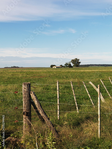 Agricultural Field