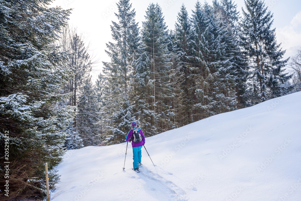 Hiker with snowshoes on snow trail in winter landscape of forest in Oberstdorf, Bavaria Alps in South of Germany. Beautiful landscape with coniferous trees and white snow. Winter sport activity.