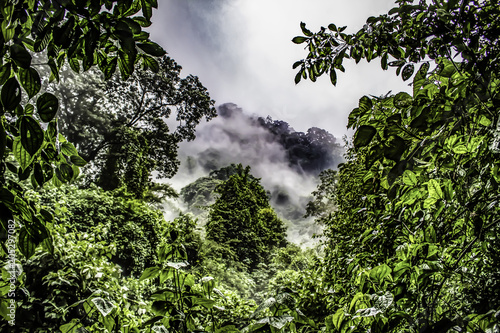 Peeking through the Trees to Watch Clouds Blowing through the Mountains of the Cloud Forest of the Chocoyero-El Brujo Nature Reserve in Nicaragua photo