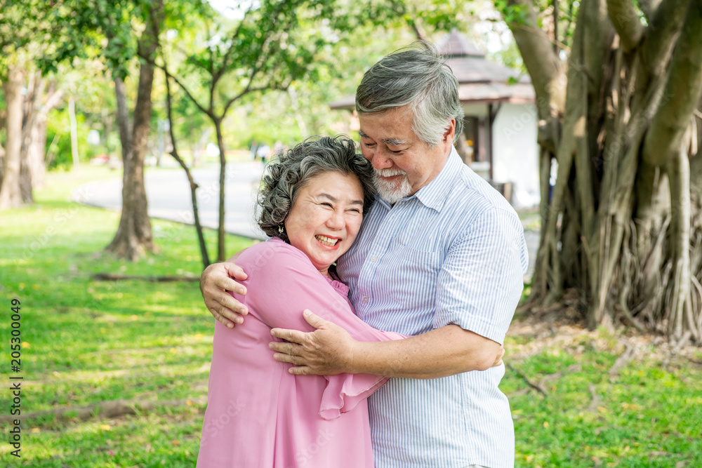Senior couple in park. Dancing together, relaxing and loving each other with a smile Senior couple in park. Dancing together, relaxing and loving each other with a smile