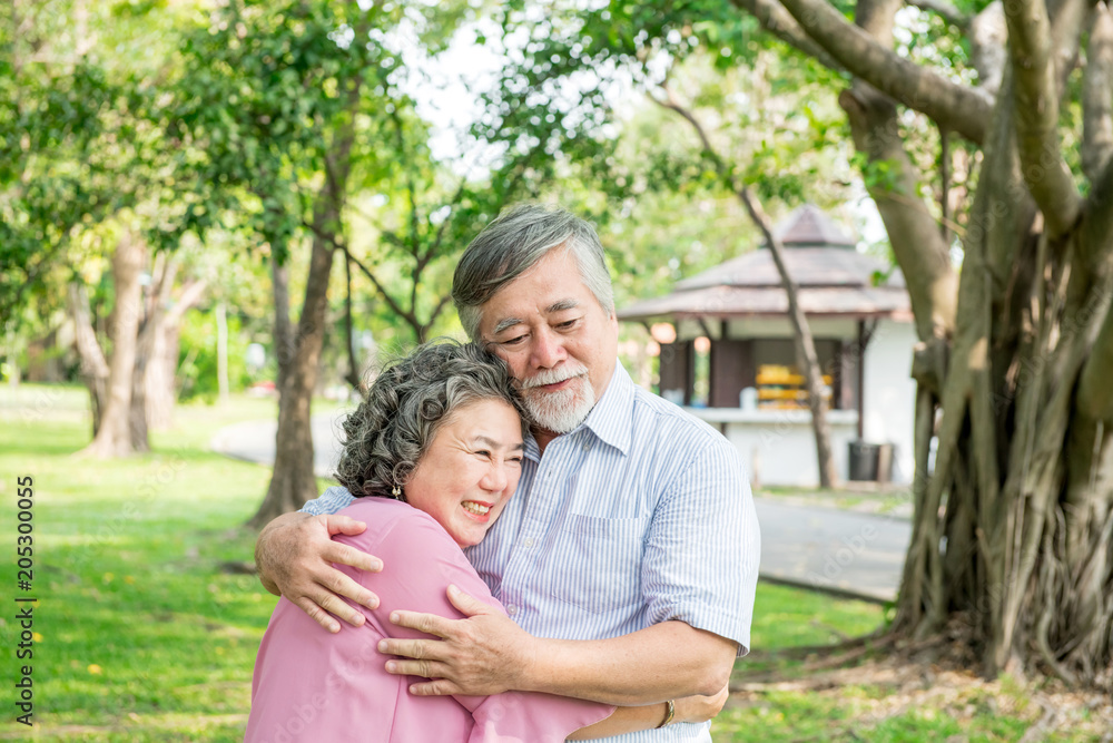 Senior couple in park. Dancing together, relaxing and loving each other with a smile Senior couple in park. Dancing together, relaxing and loving each other with a smile