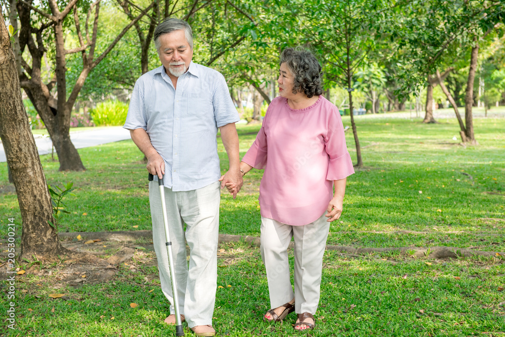 Obraz premium Senior couple in park. Walking together, relaxing and loving each other with a smile