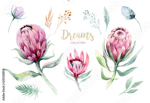 Hand drawing isolated watercolor floral illustration with protea rose, leaves, branches and flowers. Bohemian gold crystal frames. Elements for greeting wedding card.