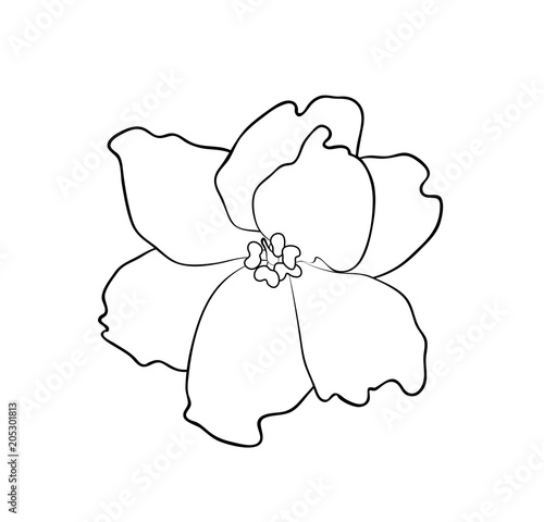 Vector illustration, isolated violet flower in black and white colors, outline hand painted drawing