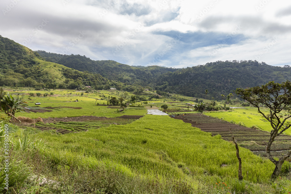 Vegetable and rice terraces above the Kolo Rongo hotspring on the slopes below the Kelimutu National Park.
