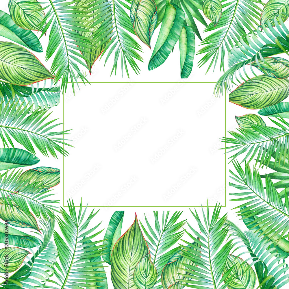 Watercolor frame with tropic plants and leaves isolated on white background.