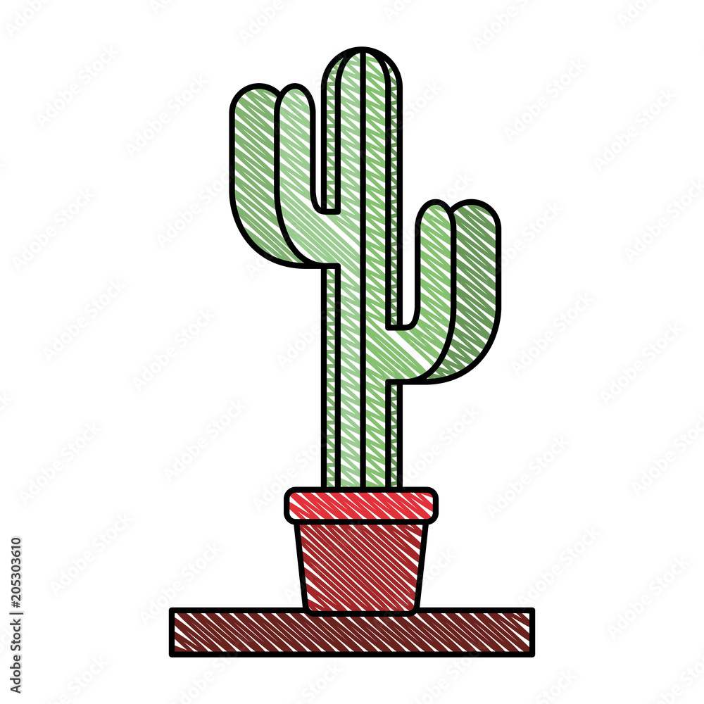 cactus in pot houseplant vector illustration design cactus in pot houseplant vector illustration design