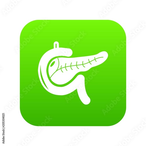 Pancreas icon green vector isolated on white background