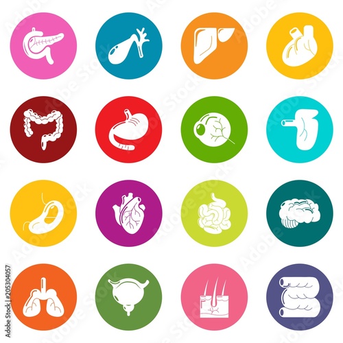 Internal human organs icons set vector colorful circles isolated on white background 
