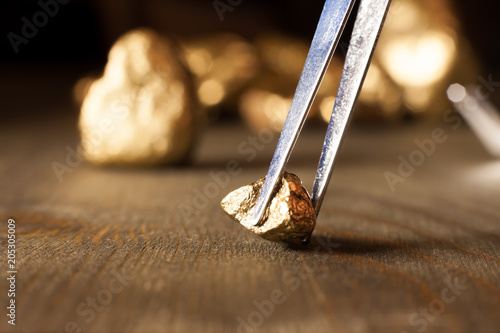 checking golden nuggets with tweezers photo