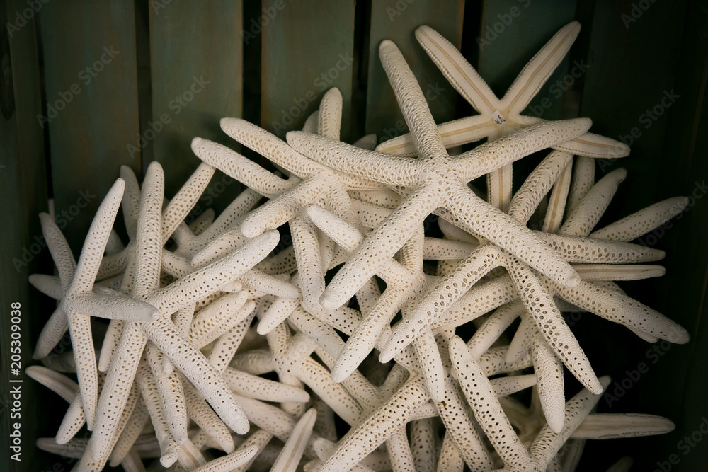 Starfish in a Crate for Sale Starfish in a Crate for Sale