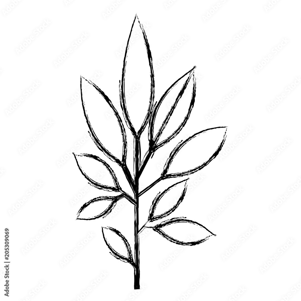 branch with leafs decorative icon vector illustration design