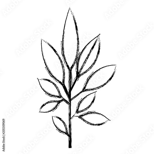 branch with leafs decorative icon vector illustration design © grgroup
