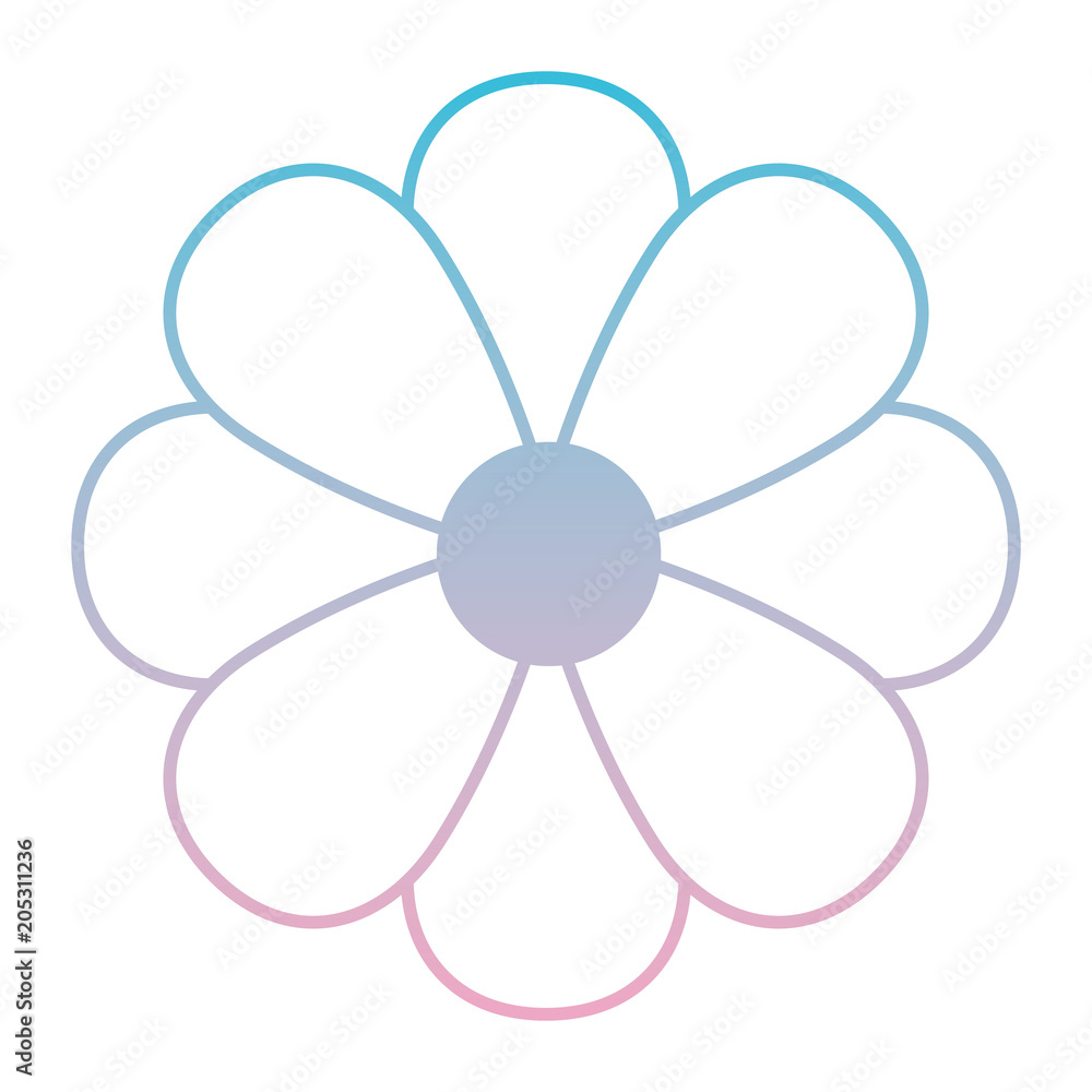 beautiful flower decorative icon vector illustration design beautiful flower decorative icon vector illustration design
