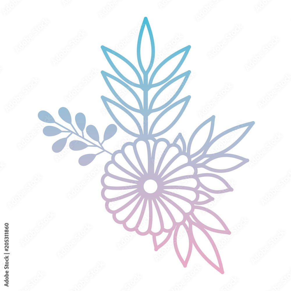 Fototapeta premium sunflower and leafs decorative icon vector illustration design