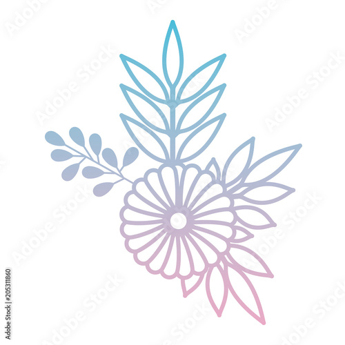 sunflower and leafs decorative icon vector illustration design