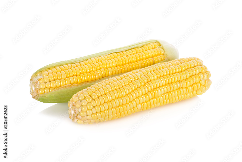 uncooked whole sweet corn with shell on white background uncooked whole sweet corn with shell on white background