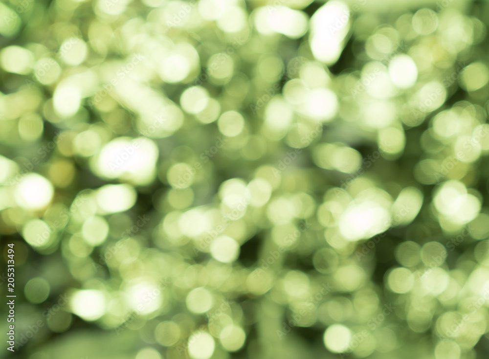 Fototapeta premium abstract bokeh background