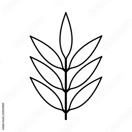 branch with leafs decorative icon vector illustration design © grgroup