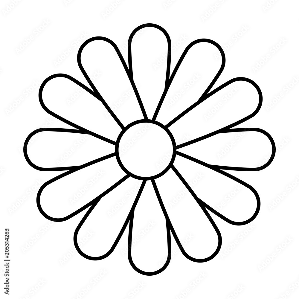 beautiful flower decorative icon vector illustration design beautiful flower decorative icon vector illustration design