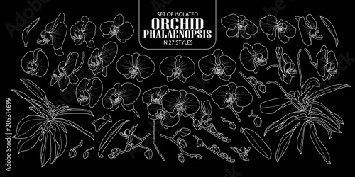 Set of isolated orchid in 27 styles.