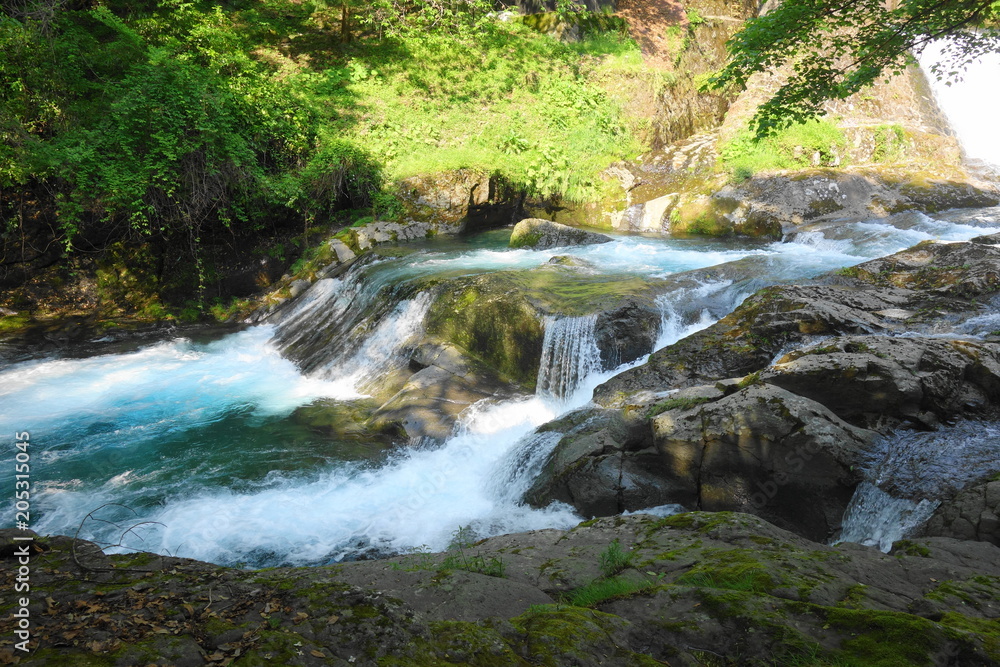 Fototapeta premium transparent river