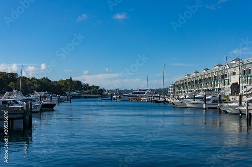 Yachts and boats on berth in bay on sunny day