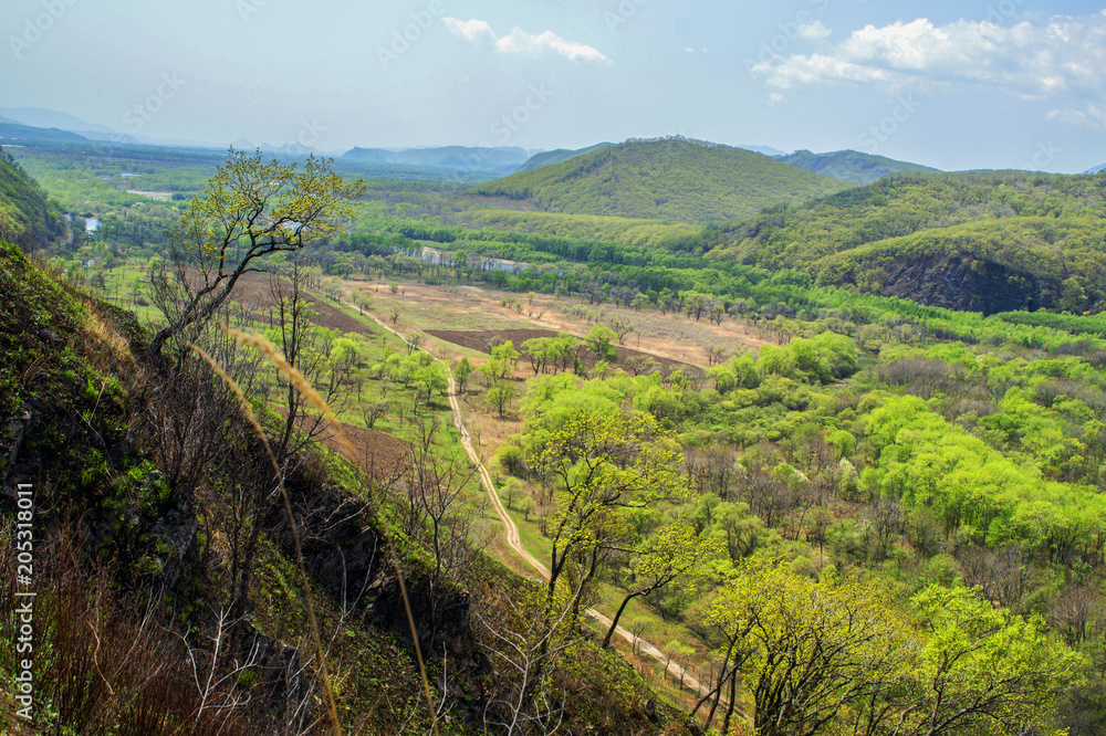 River valley in spring, the valley of the river Suchan Far East