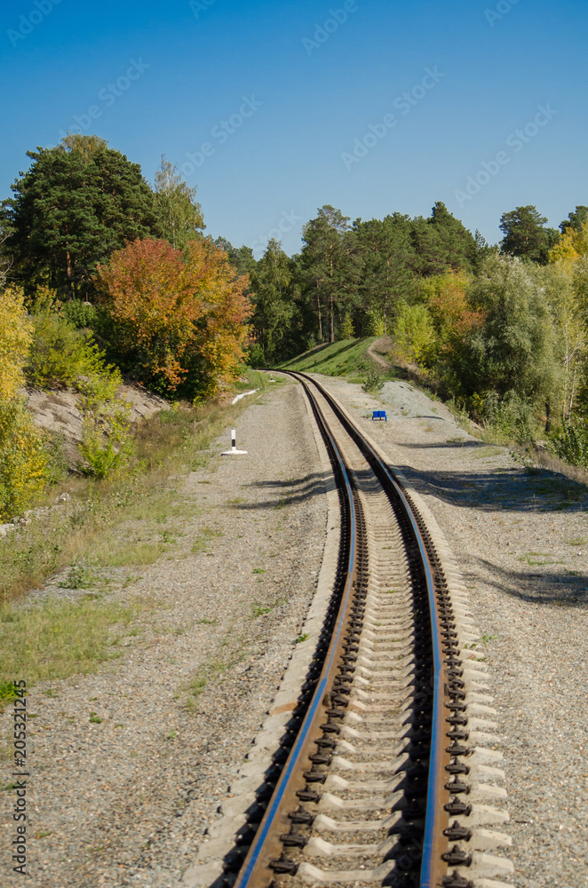 Railway in the forest of pines and penetrating rays of the sun in the summer Railway in the forest of pines and penetrating rays of the sun in the summer