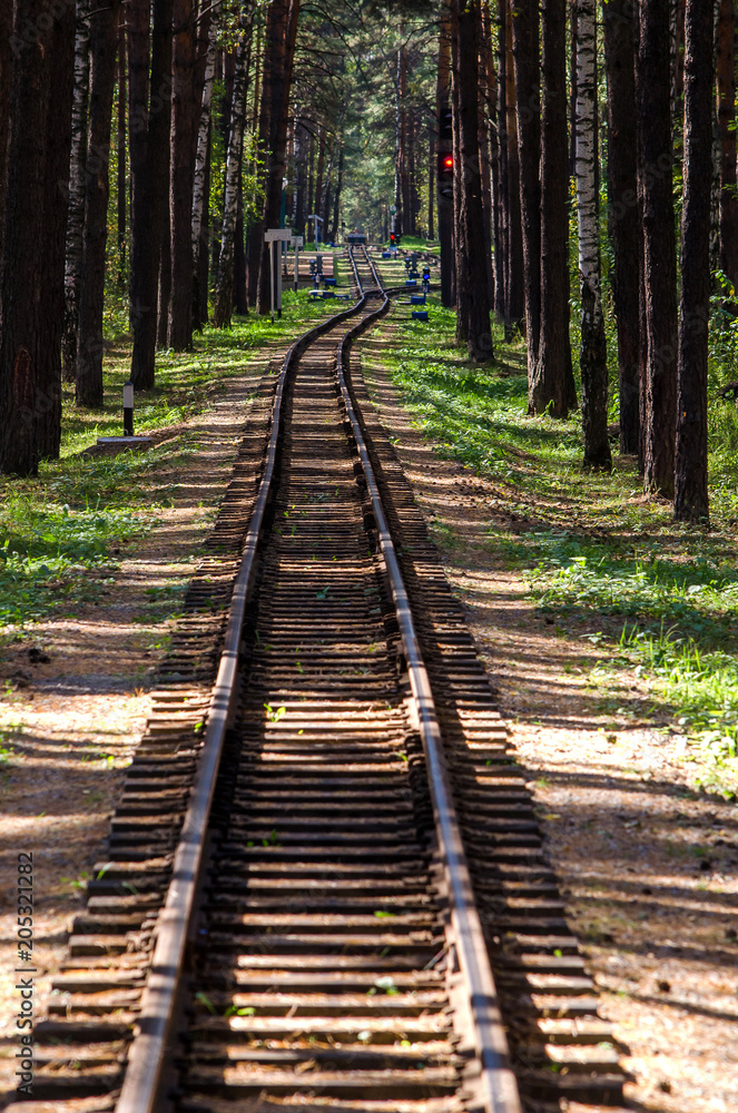 Railway in the forest of pines and penetrating rays of the sun in the summer