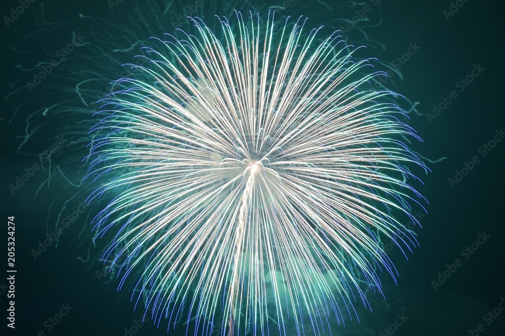 Fototapeta premium 夏の花火