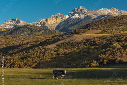 Cimarron Mountain Range in southwestern Colorado of the San Juan Mountains in Ouray County photo