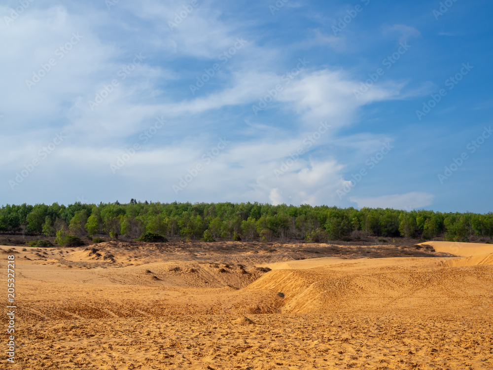 Sand Dunes Sand Dunes