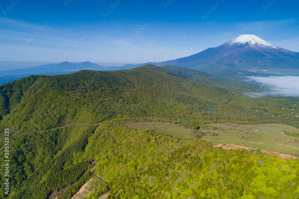 Fototapeta premium 富士山空撮