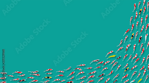 鯉のダンスパーティ