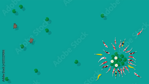 蓮池で泳ぐコイとカメ