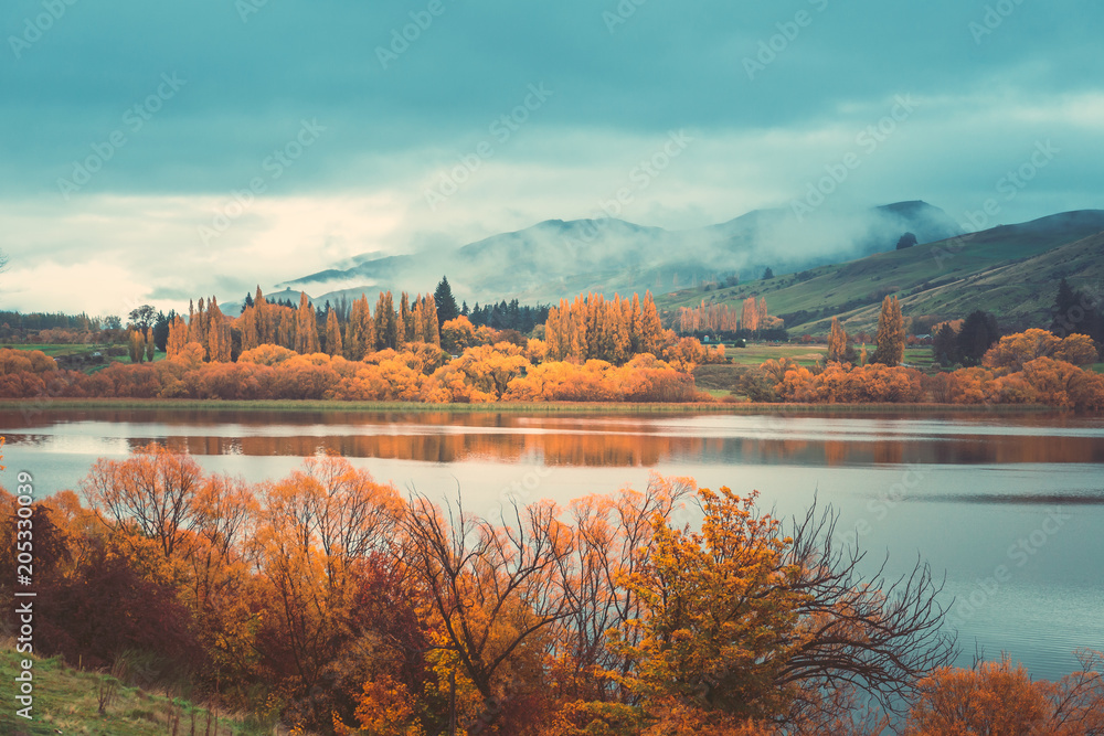 Fototapeta Autumn in Lake Hayes, Queenstown New Zealand landscape