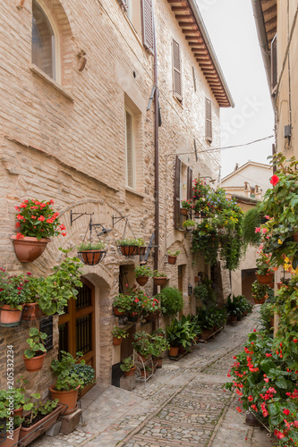 Fototapeta Naklejka Na Ścianę i Meble -  A view of an alley decorated by many flowers in Spello, Umbria