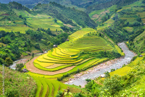 Cuadro en lienzo Beautiful rice field terraced at Mu Cang Chai, Yen Bai, during trip HANOI to SAP