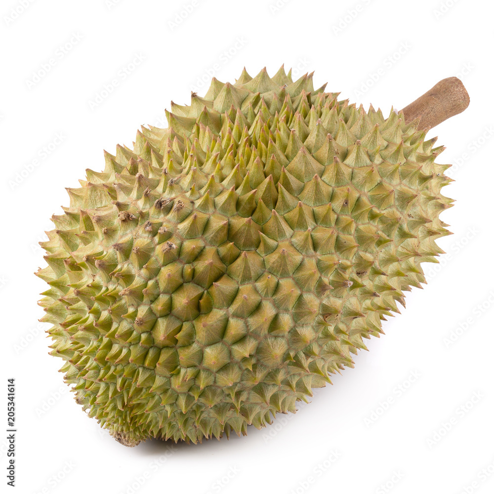 King of fruits, Durain isolated on the white background King of fruits, Durain isolated on the white background