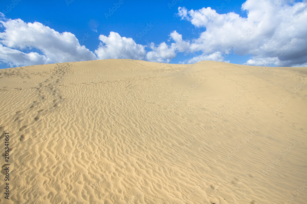 Maspalomas Sand Dune Desert, Grand Canaria Maspalomas Sand Dune Desert, Grand Canaria
