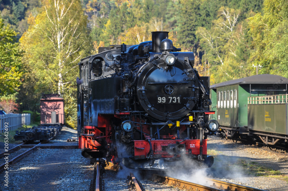 Obraz premium Narrow-gauge railway Zittauer Mountains Germany