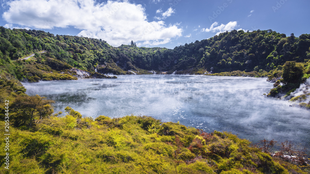 Fototapeta premium volcanic lake at waimangu