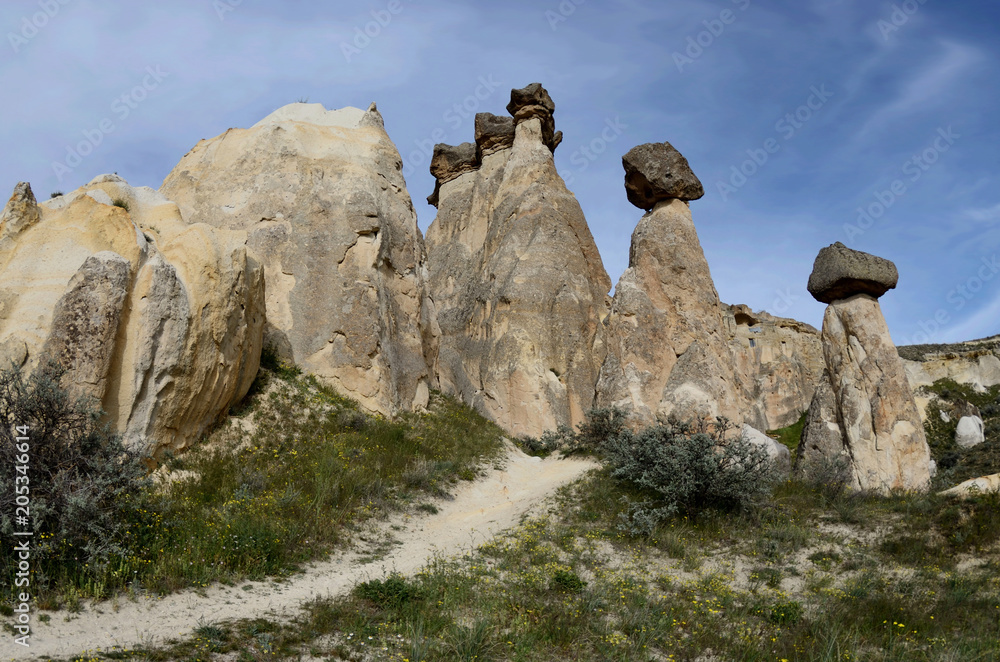Monks valley (Pashabag), mushroom-shaped volcanic rocks in Cappadocia,famous hiking place,Turkey