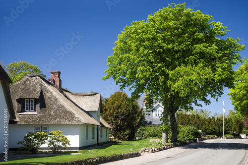 Fototapeta Naklejka Na Ścianę i Meble -  Frühling im Dorf Keitum auf Sylt