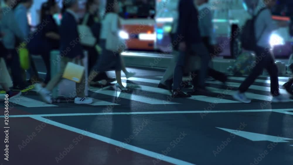 custom made wallpaper toronto digital新宿の夜の横断歩道