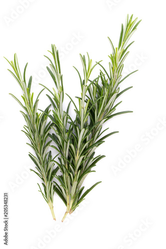 Rosemary spice on the white background.